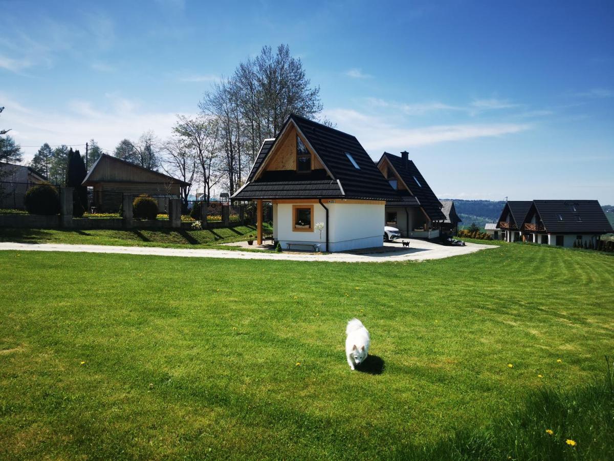 Heidi Villa Zakopane Ngoại thất bức ảnh